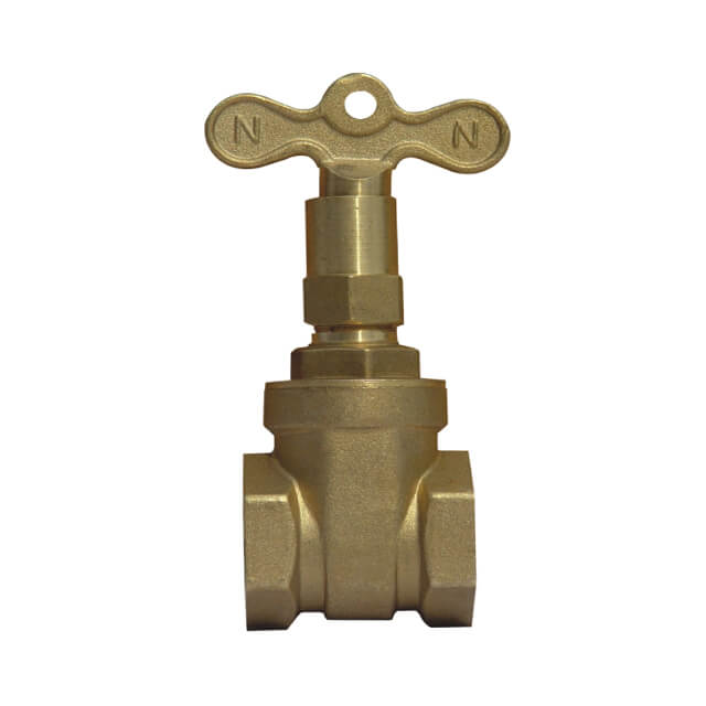 Lock shield valve